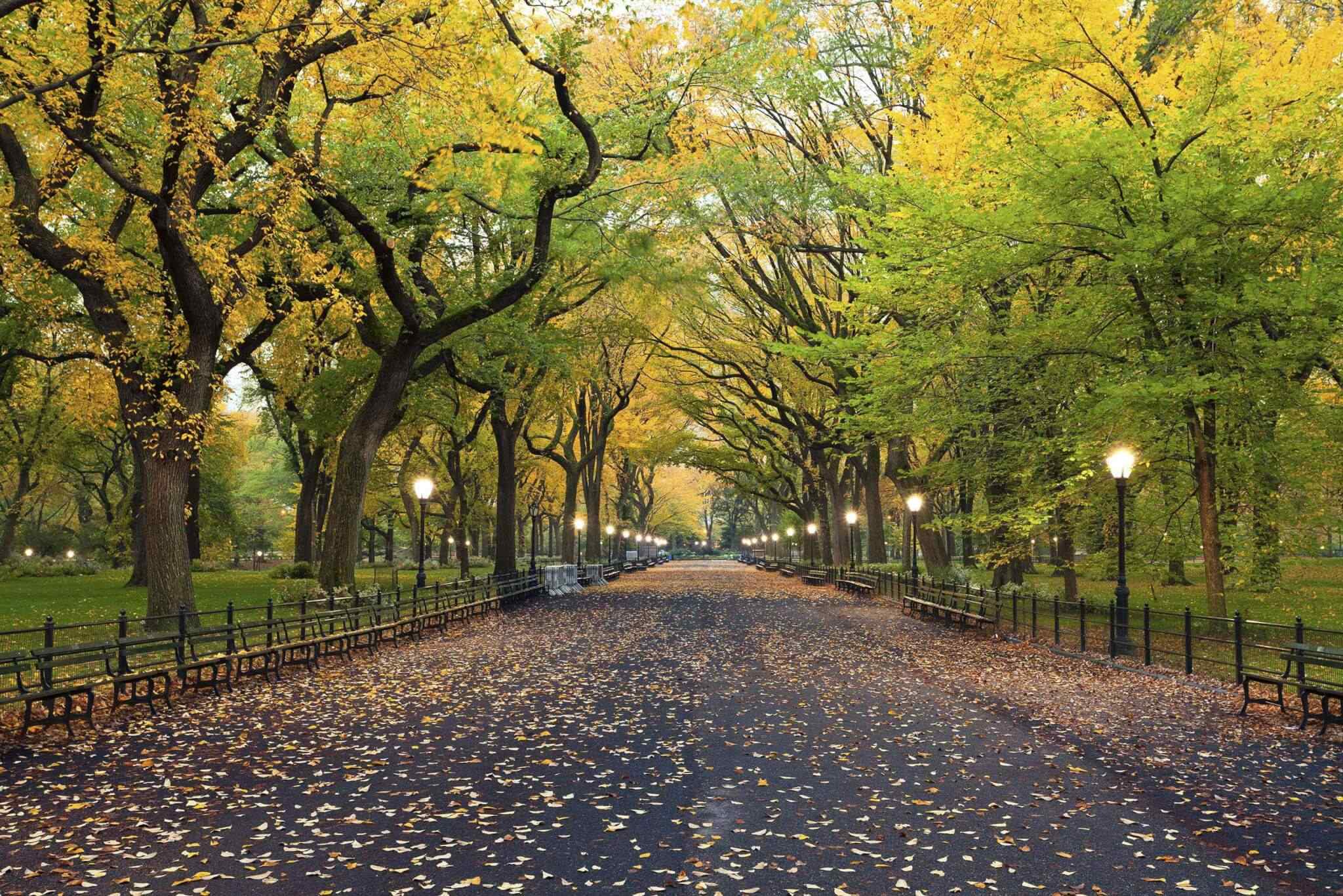 https://itvaraleisure.com/wp-content/uploads/2018/09/destination-new-york-02.jpg