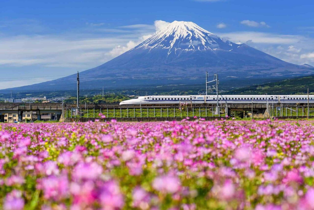 https://itvaraleisure.com/wp-content/uploads/2018/09/tour-osaka-04-1280x854.jpg