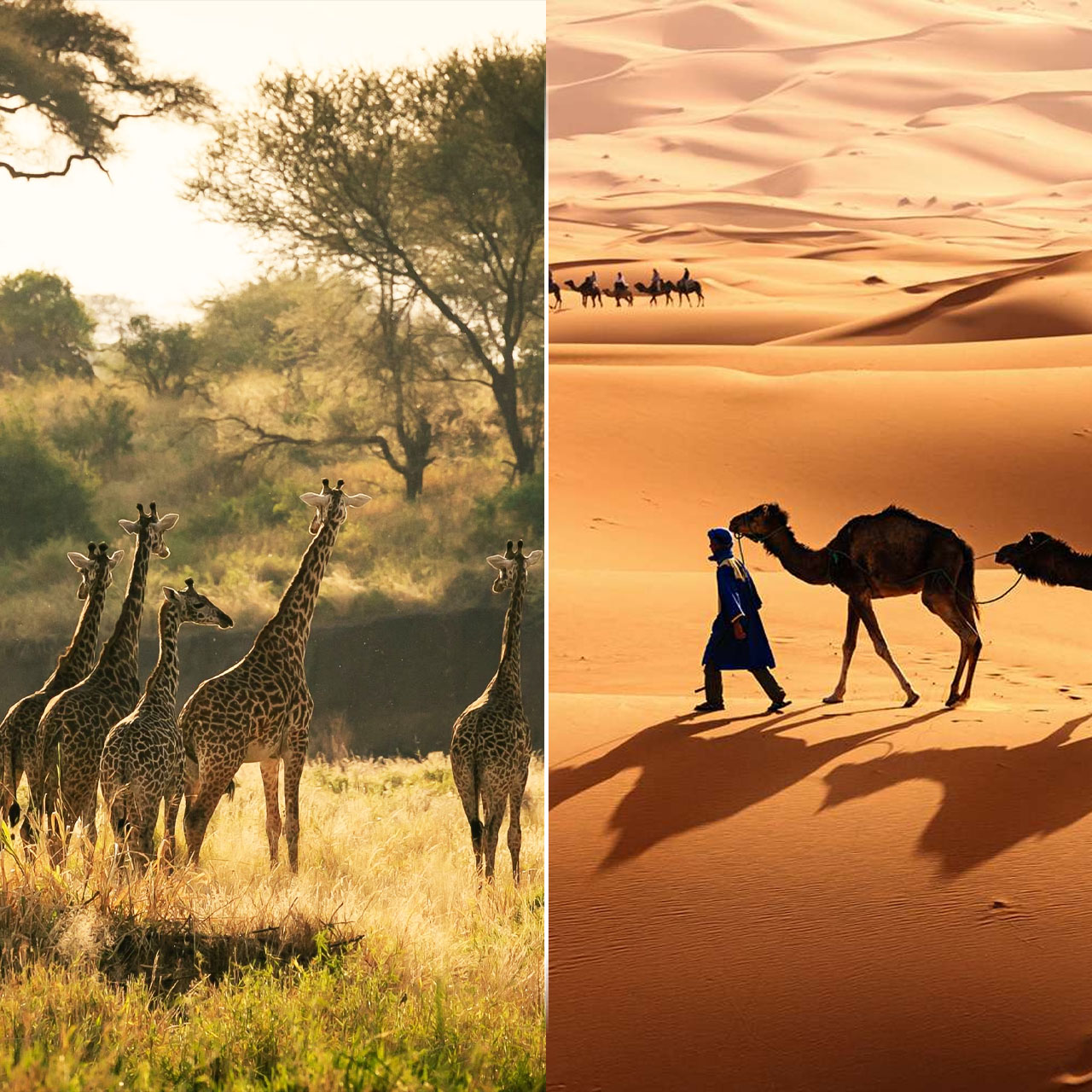 https://itvaraleisure.com/wp-content/uploads/2026/04/AFRICA.jpg.jpeg