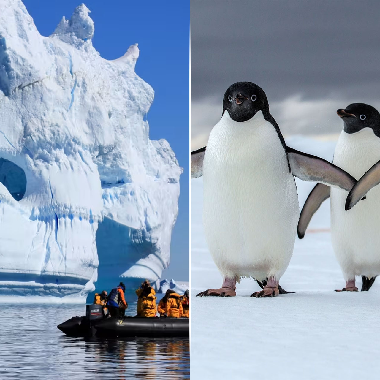 https://itvaraleisure.com/wp-content/uploads/2026/04/ANTARCTICA.jpg.jpeg