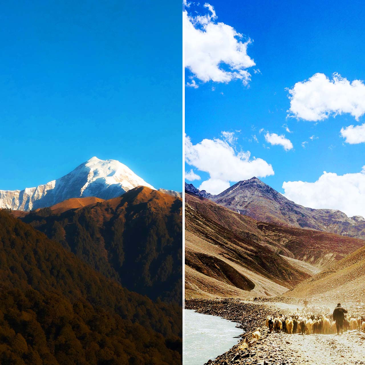 https://itvaraleisure.com/wp-content/uploads/2026/04/Himalayas-North-India.jpg.jpeg