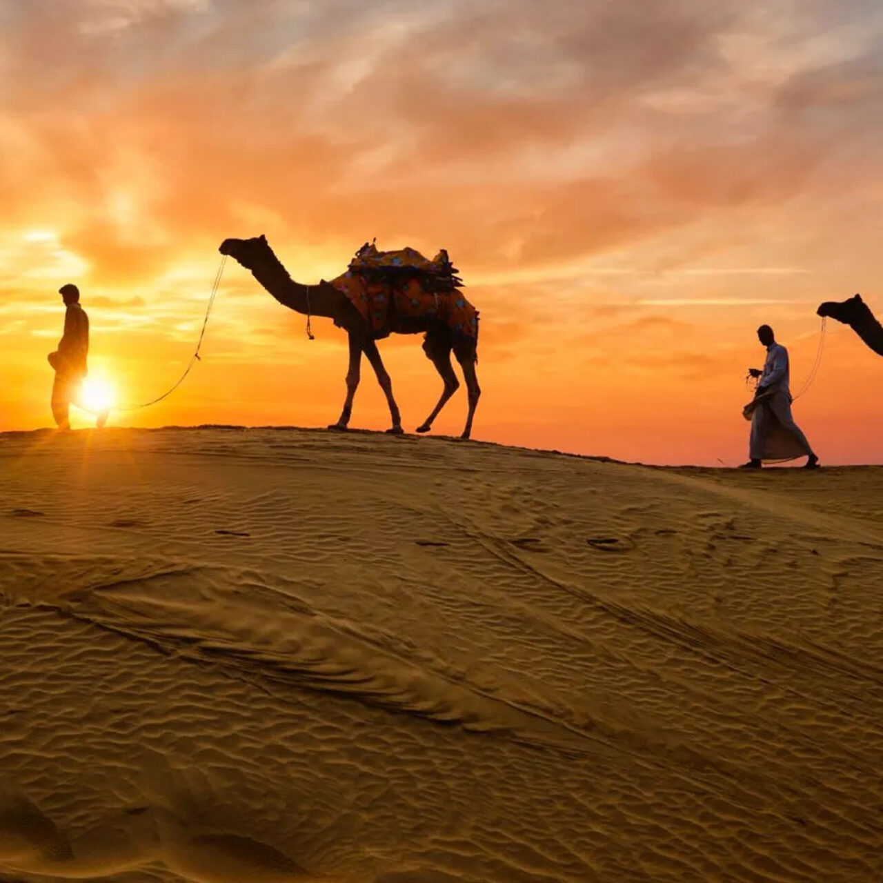 Rajasthan Desert Trail