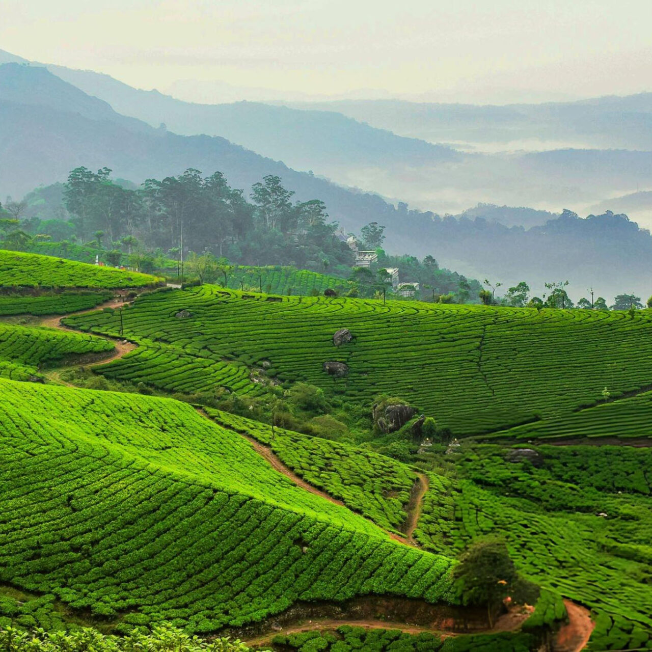Assam + Meghalaya