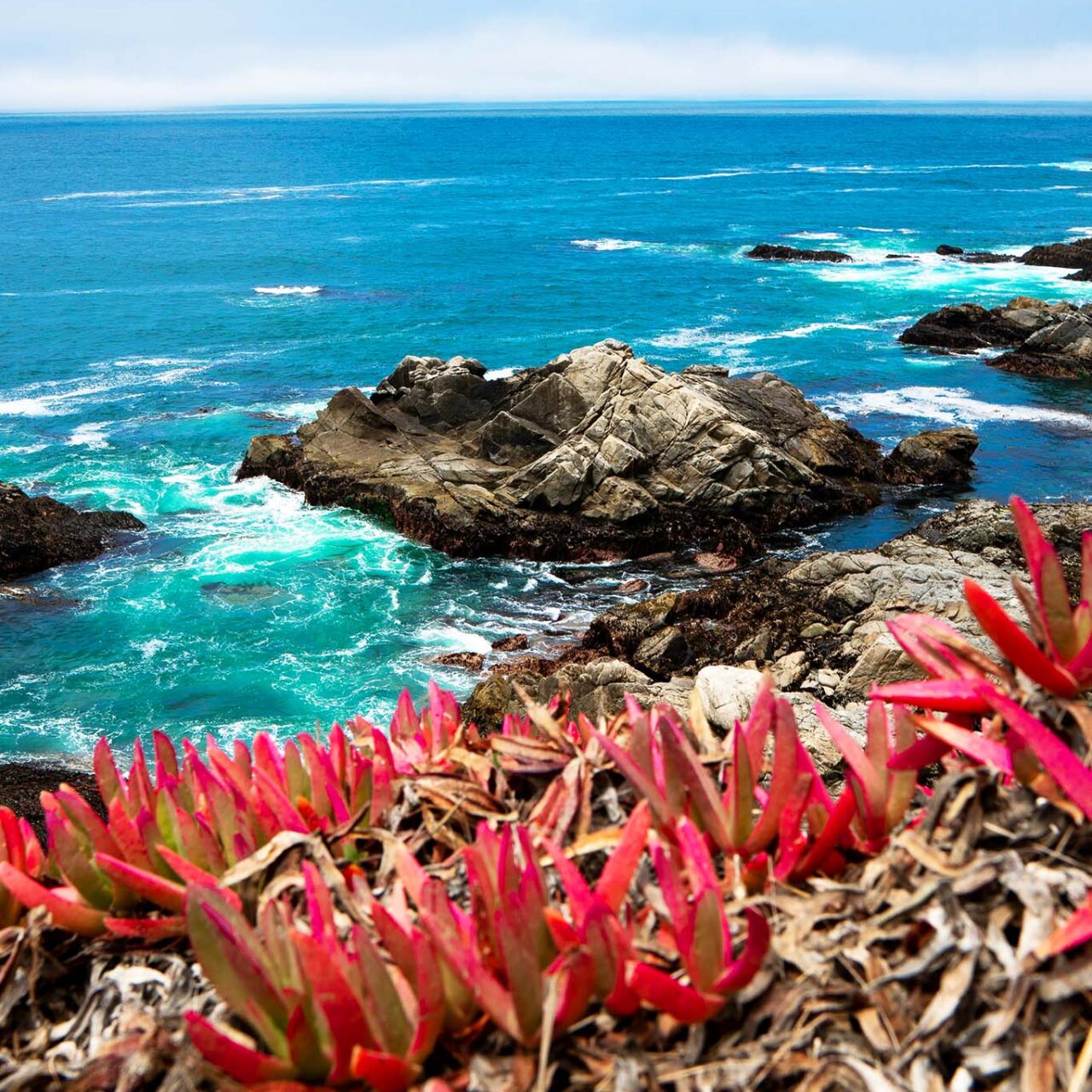 California Coastal (6N)