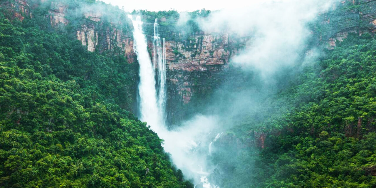 Chhattisgarh Trail