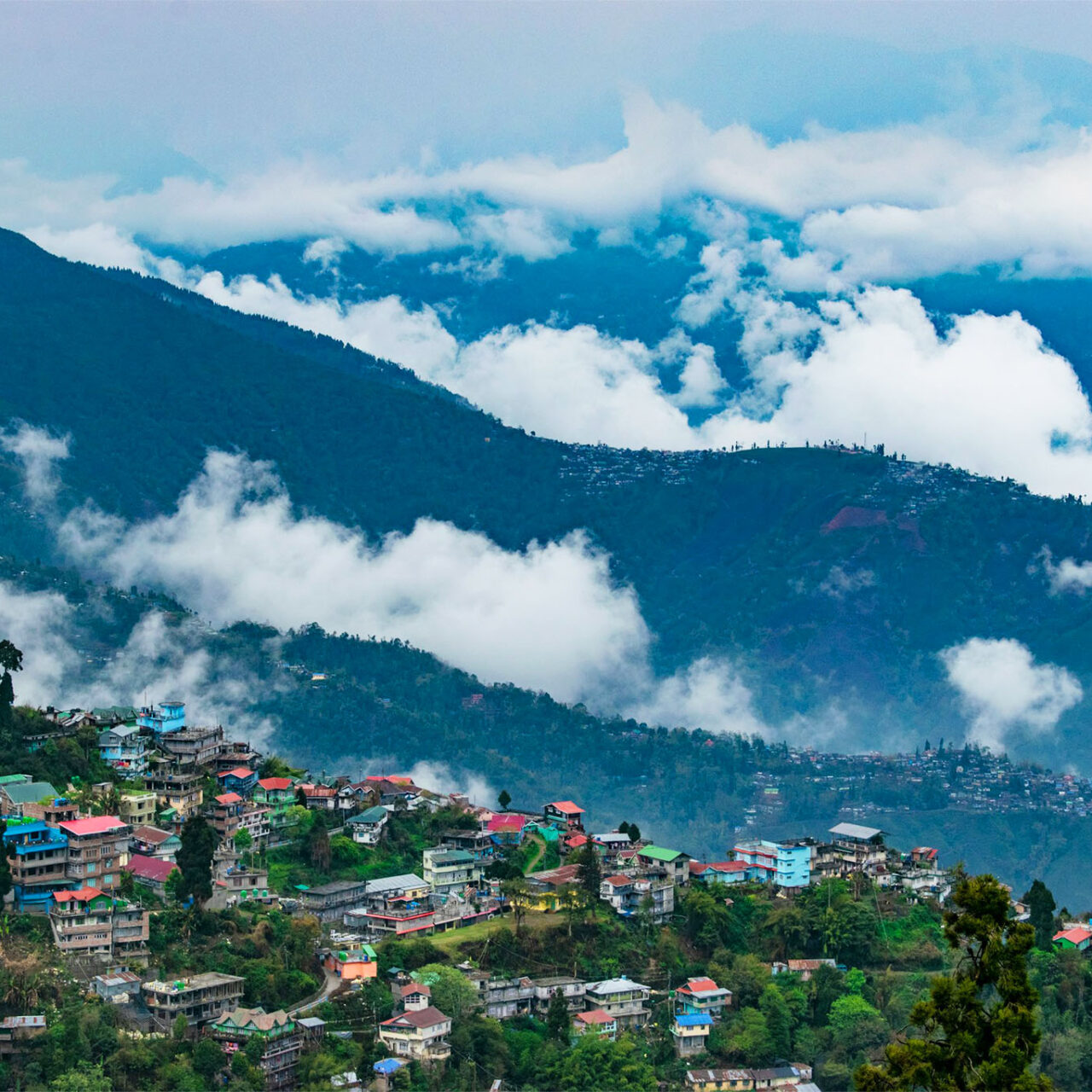 Darjeeling & Kalimpong