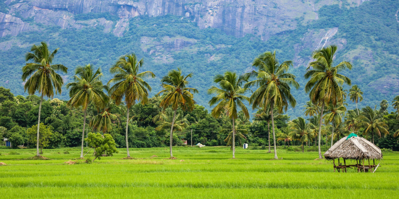 Kerala Classic
