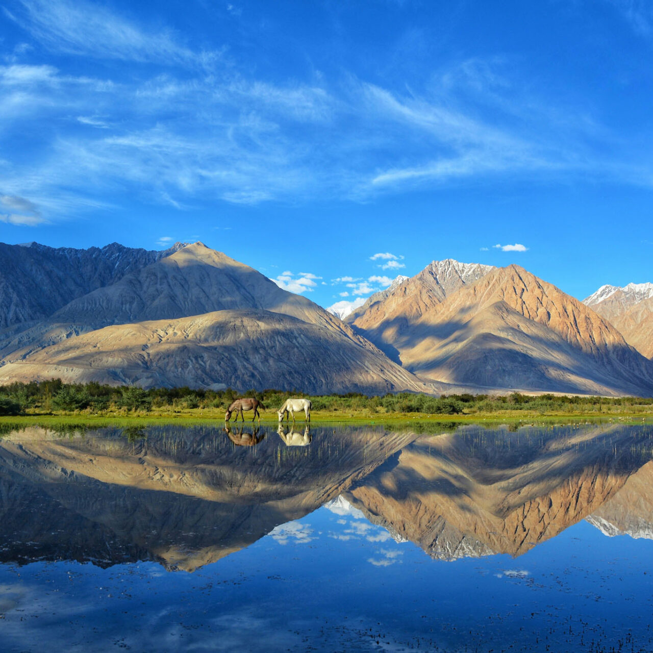 Ladakh
