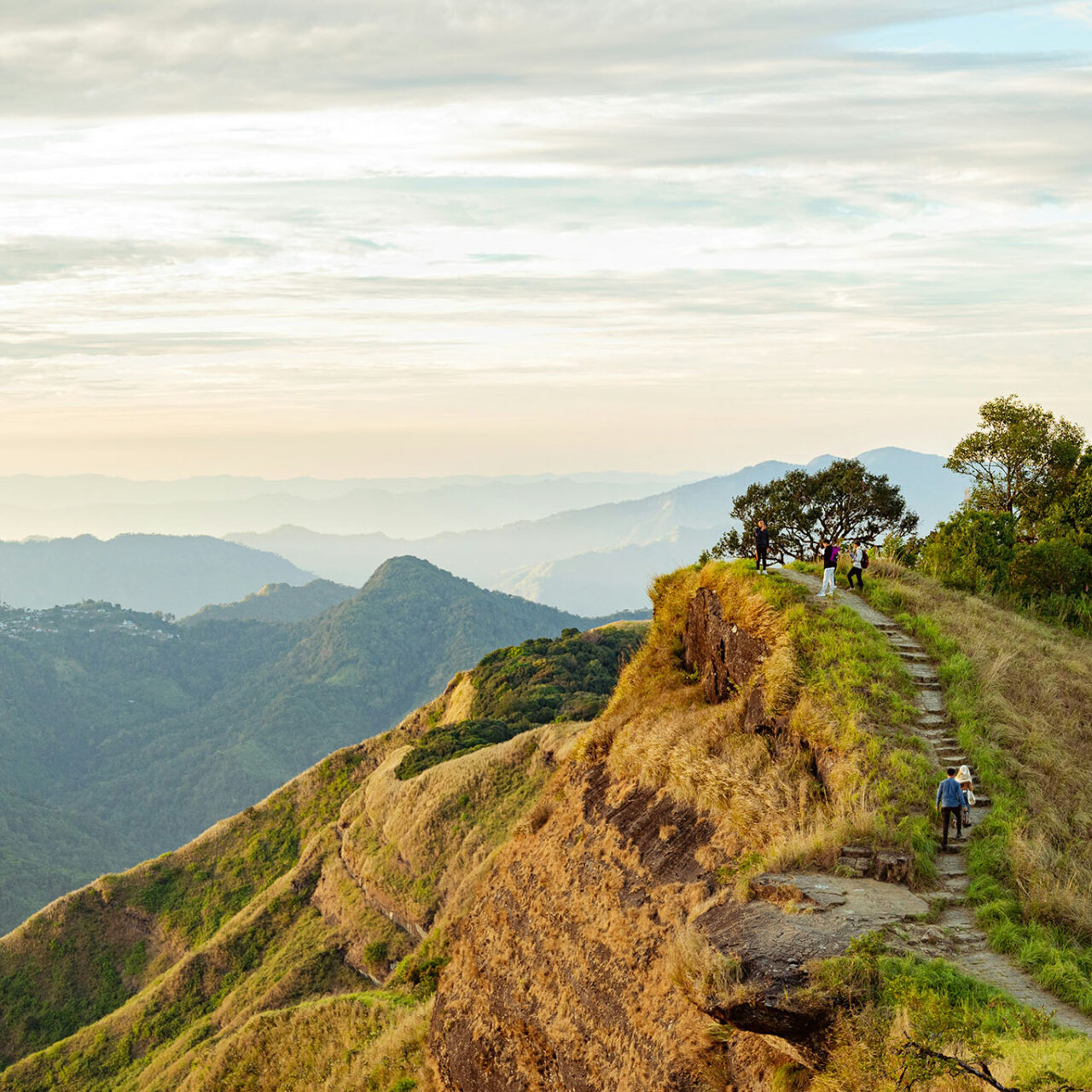 Mizoram + Tripura