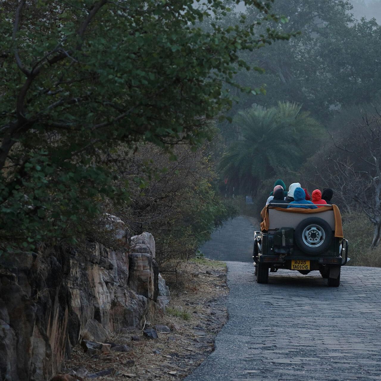 Ranthambore + MP