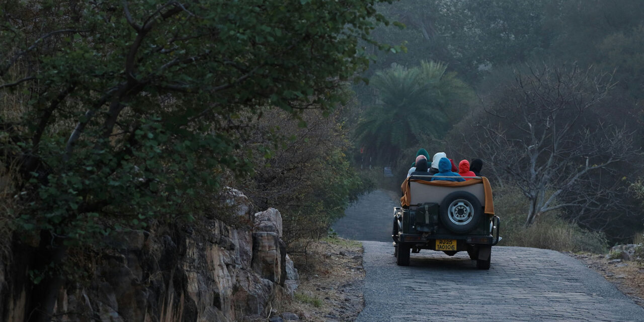 Ranthambore + MP