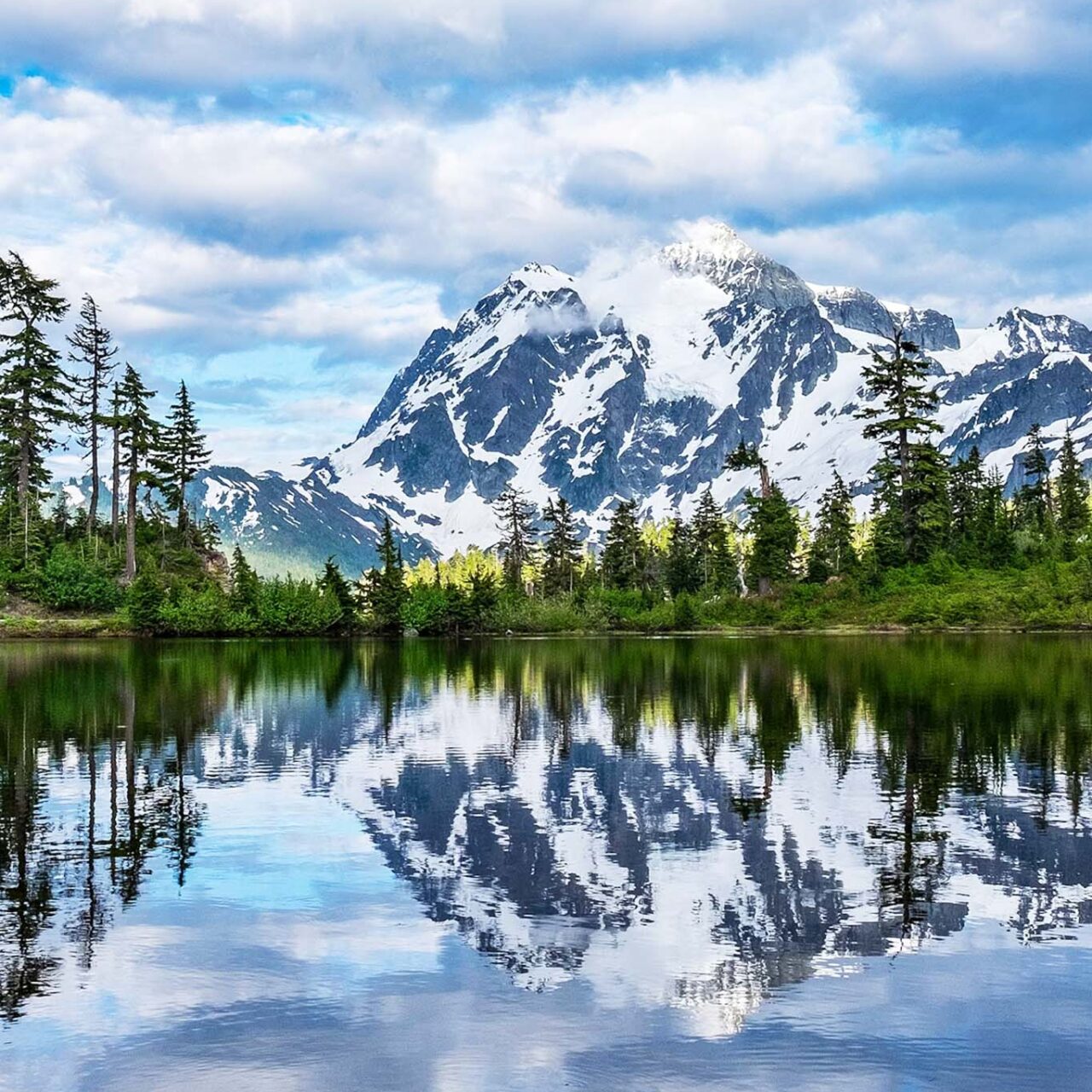 USA National Parks (8N)