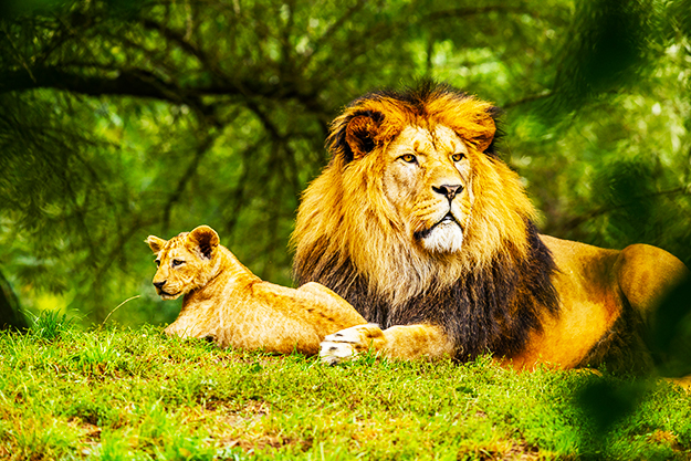 https://itvaraleisure.com/wp-content/uploads/2026/09/Wildlife-Nature-Expeditions.jpg